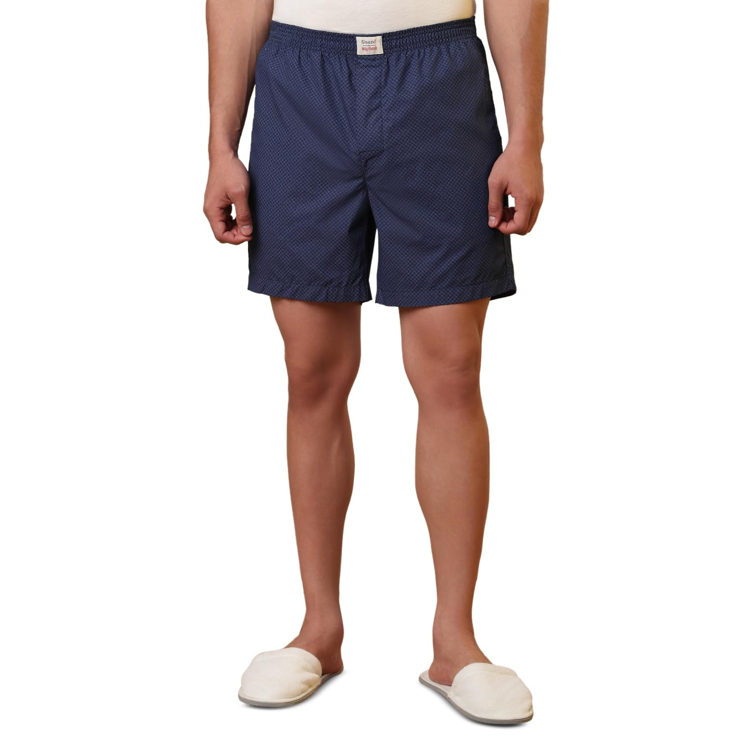 sleepz by raymond Men Flat Front Regular Fit Print Pattern Pure Cotton Boxer-picture-22