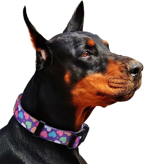 Foto 6 de 7 de Rhea Rose Collares de primavera para perros grandes, diseño de corazón, color morado