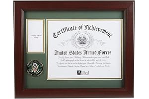 Allied Frame U.S. Army Eagle Scout Commemorative Frame