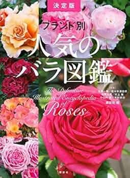 61-356EefdL._AC_UF350,