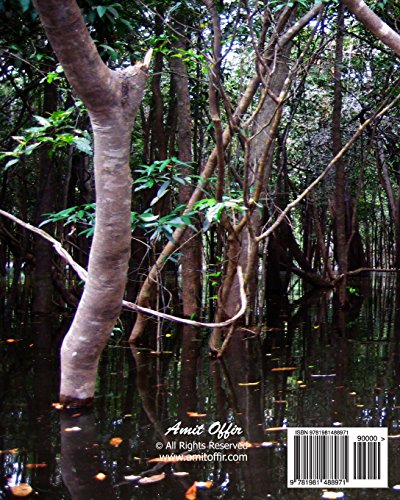 Brazil Journal & Sketchbook: Travel, Draw and Write of Our Beautiful World