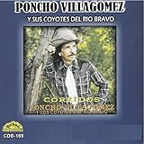 amigo bravo 12 plus lite turnout  Viejo Amigo Mio