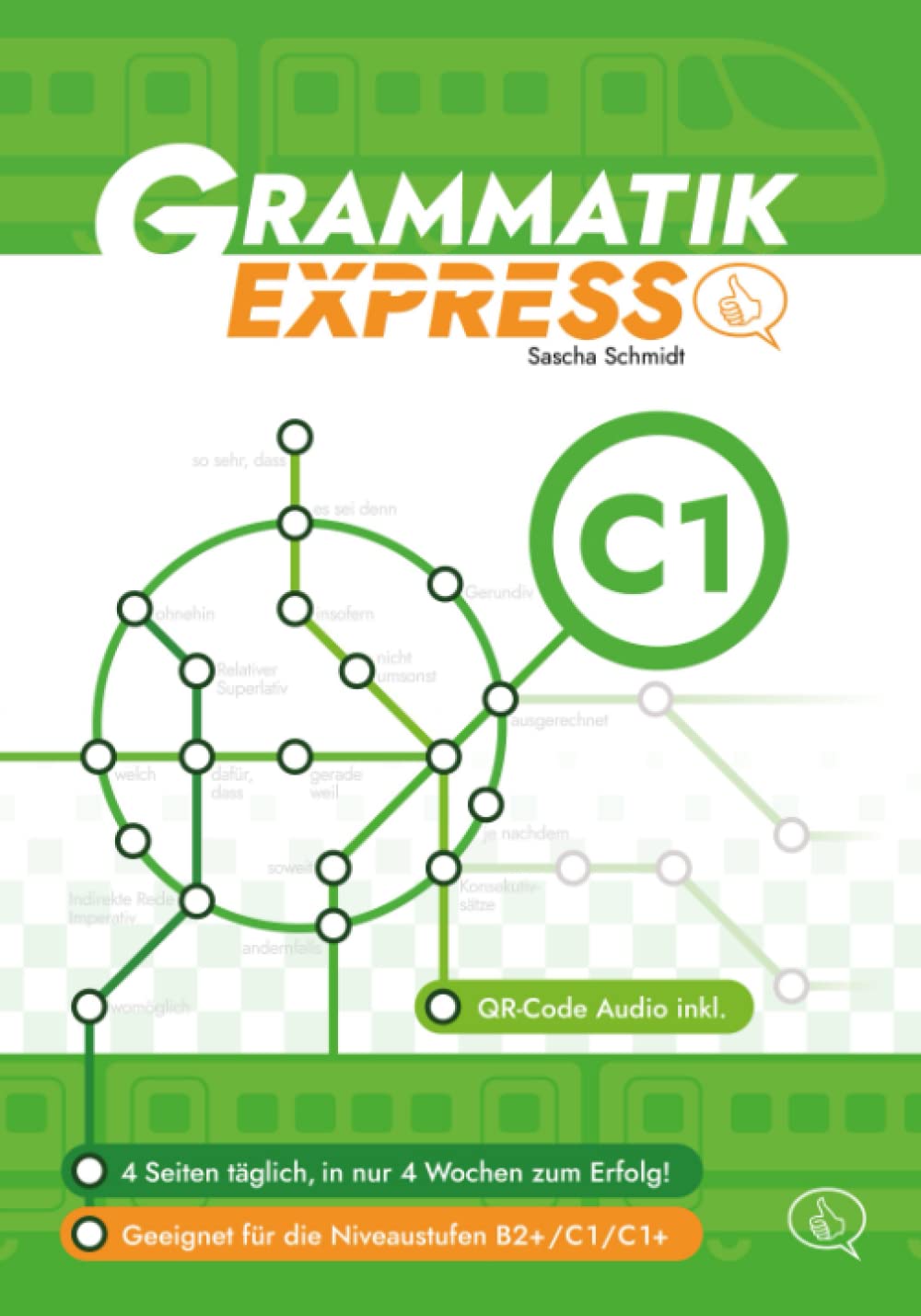 ODSTOB Grammatik Express C1 - Deutsch mit Schmidt (German Edition)