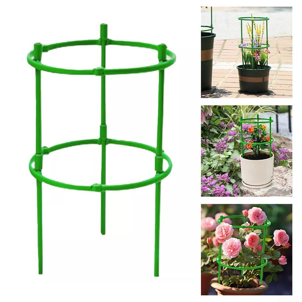 View 6