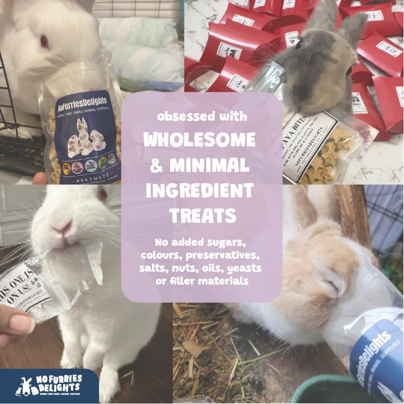 Forage Mix,100% All Natural Botanical Herb Treat for Rabbit Hamster Guinea Pig Chinchilla Chicken Hermit Crab Gerbil Degu & Other Small Animals (All in One Forage Mix 30g)