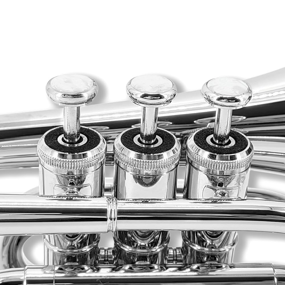 Tromba tascabile professionale in ottone, finitura laccata, con custodia per il trasporto e accessori per la pulizia per principianti e musicisti (argento)