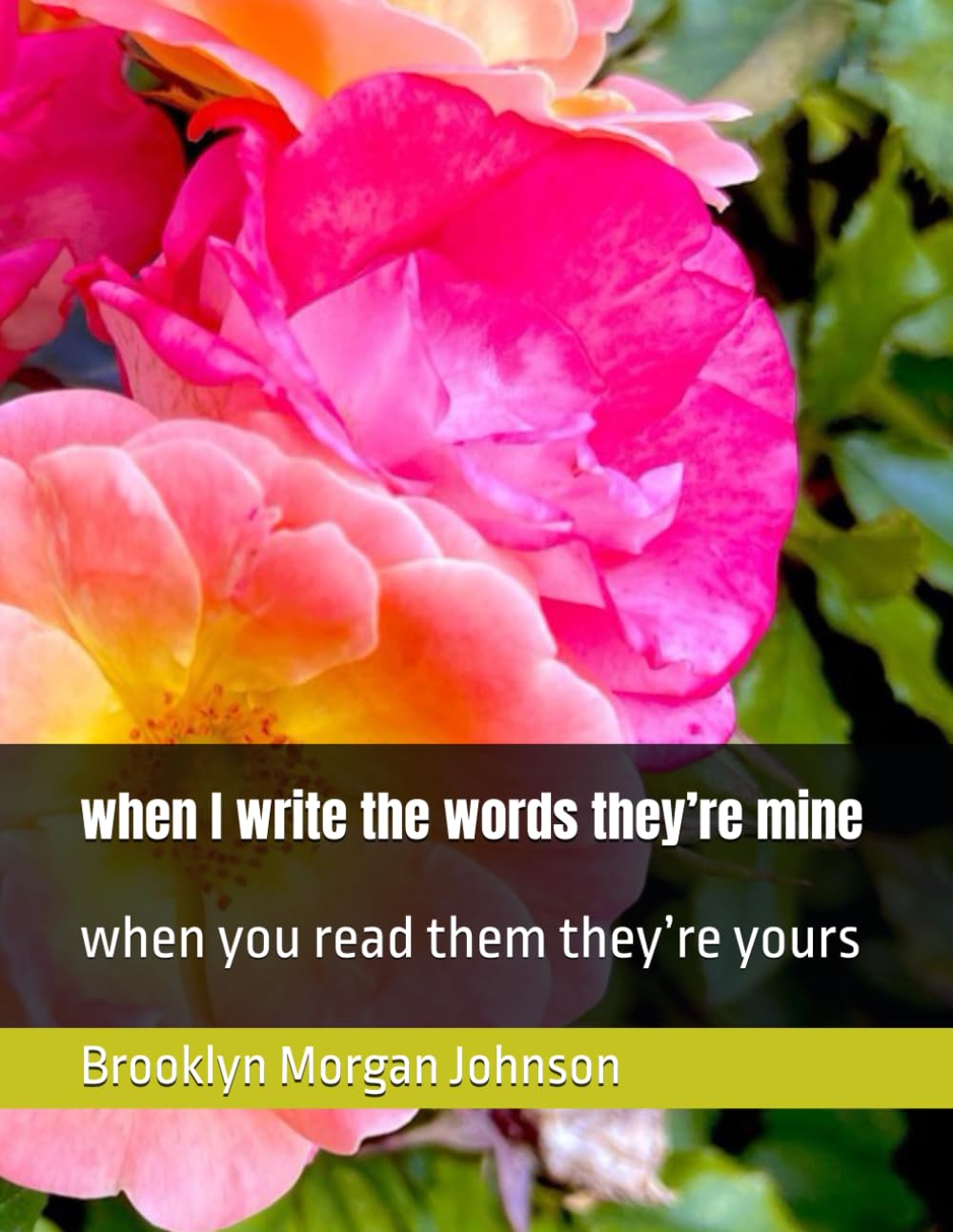 when I write the words they’re mine: when you read them they’re yours