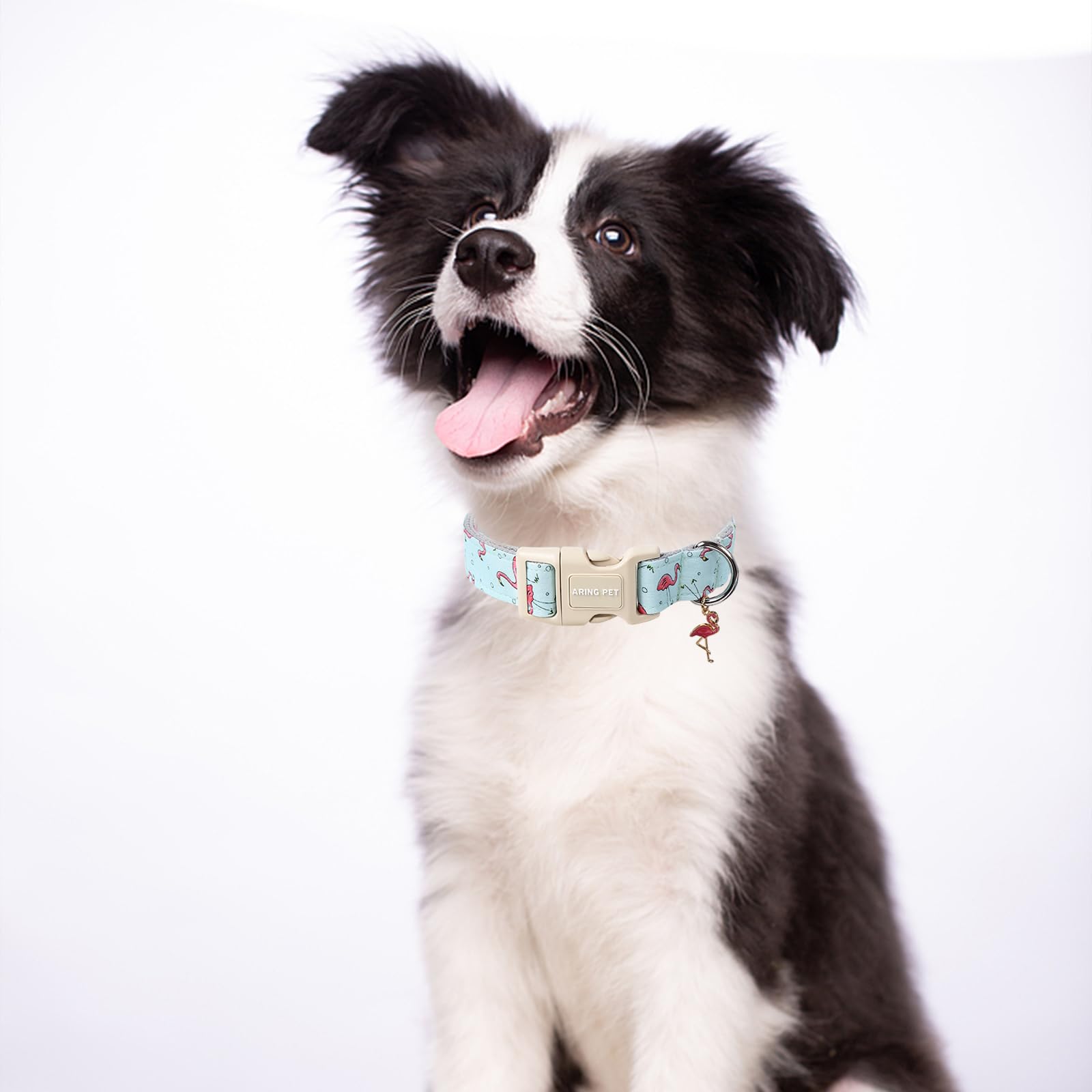 ARING PET Flamingo Dog Collar, Cute Dog Collar with Quick Release Plastic Buckle - Image 4