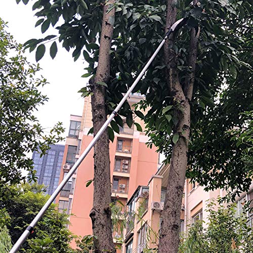 Image of Buyplus 26FT Reach Pole Saws for Tree Trimming, Pole Saw with 5-20FT Telescoping Extension Pole, Pruning Saw with 19 inch 3X Detachable Saw, Non-Slip Handle, Tree Trimmer for Garden Palms Shrubs