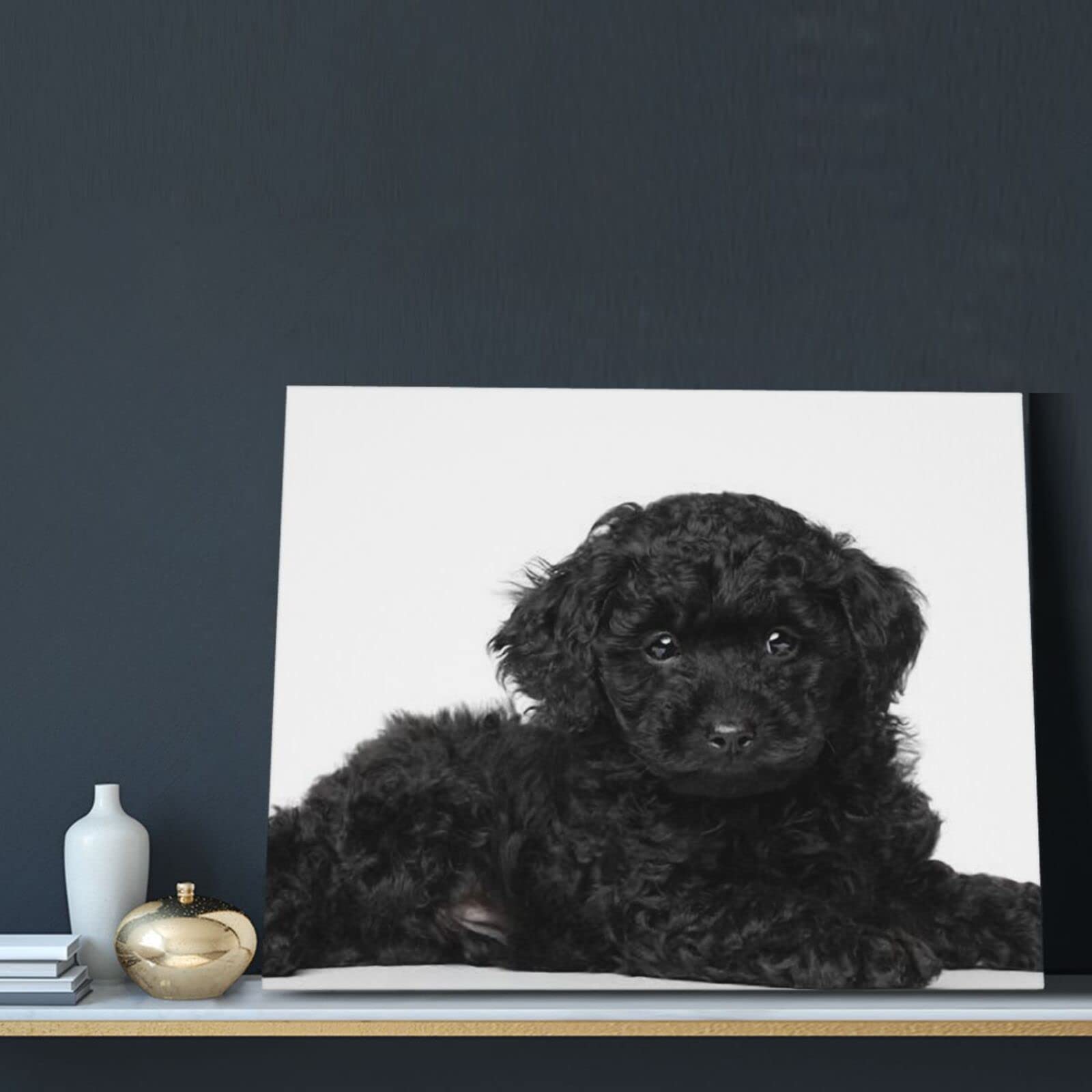 Amazon.co.jp: ブラック トイプードル アートパネル 装飾画 壁掛け絵画
