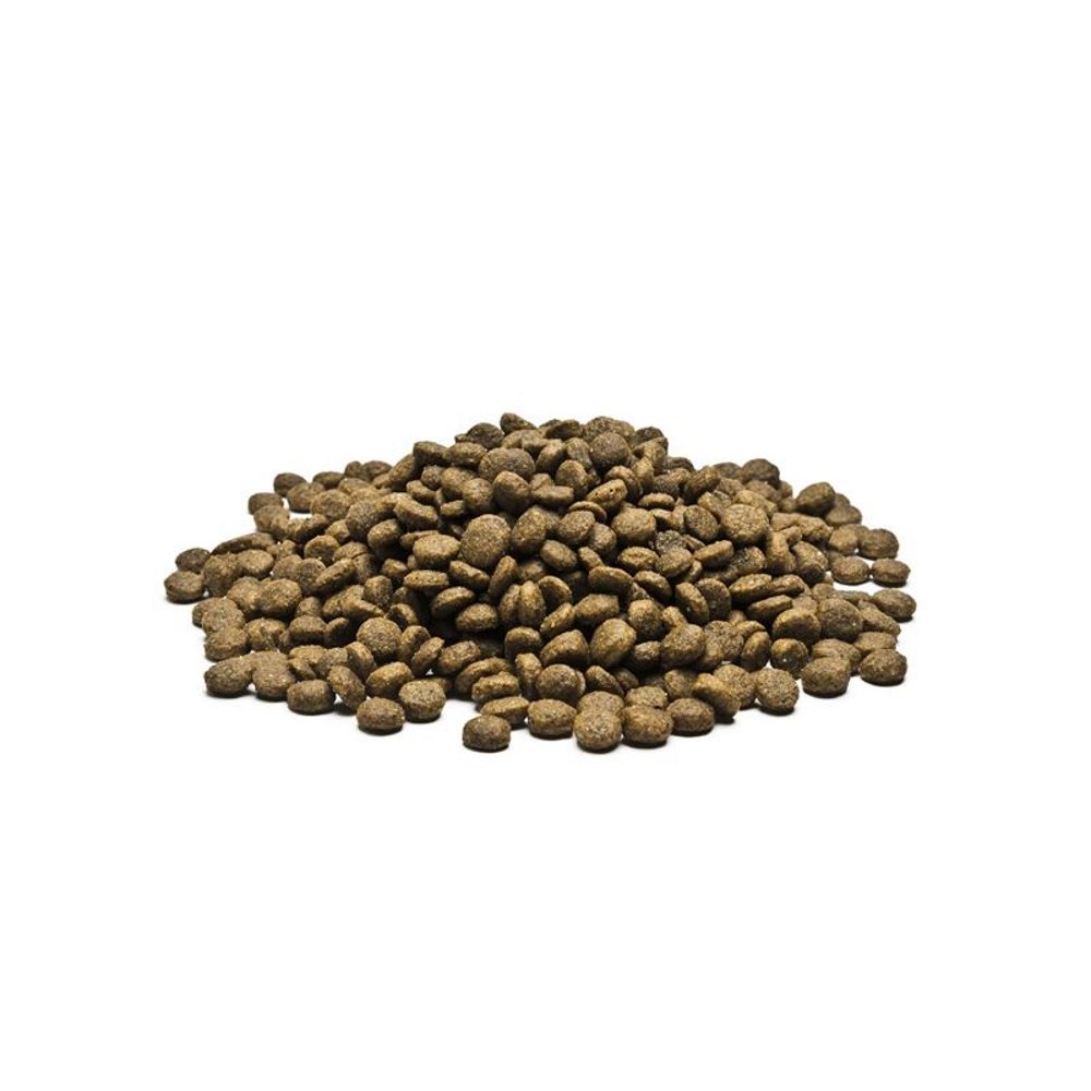 Trufa Il Tartufo Feline Adult Grain Free 10Kg 10000 g