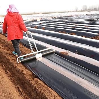 61-3e7b5bxL._AC_UF350,