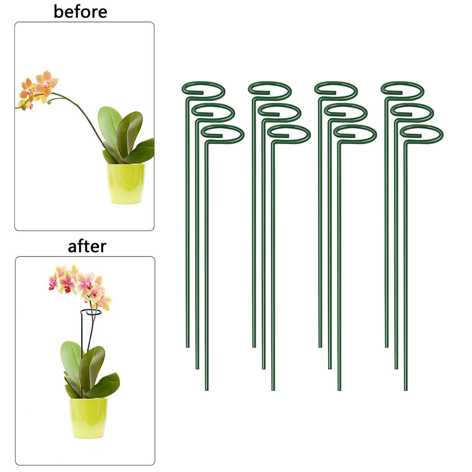 12 Pièces Tuteurs Plantes Supports Tiges Anneaux Fer Renforcé Installation Simple pour Pots Fleurs Tomates Marigold Utilisation Intérieur Extérieur, Hauteur 55cm