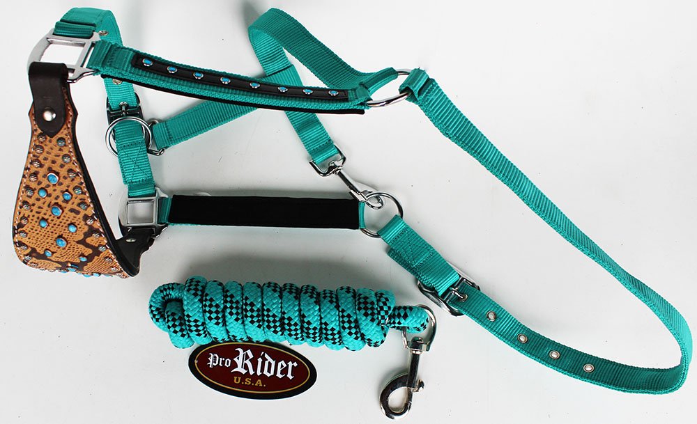 ProRider Horse Noseband Tack Bronc Leather Nylon Halter Tiedown Lead Turquoise 280653