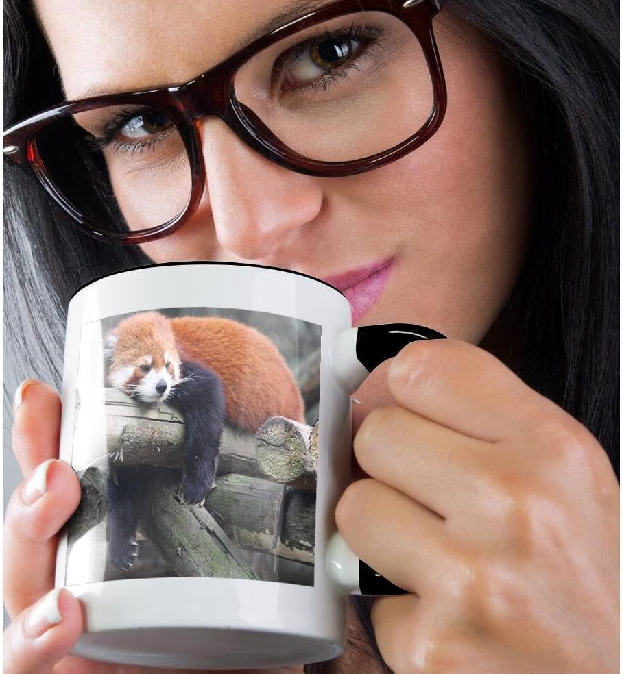 Miniatura 2 de 3dRose Adorable panda rojo, provincia de Sichuan, taza de dos tonos, 11 onzas, negroblanco