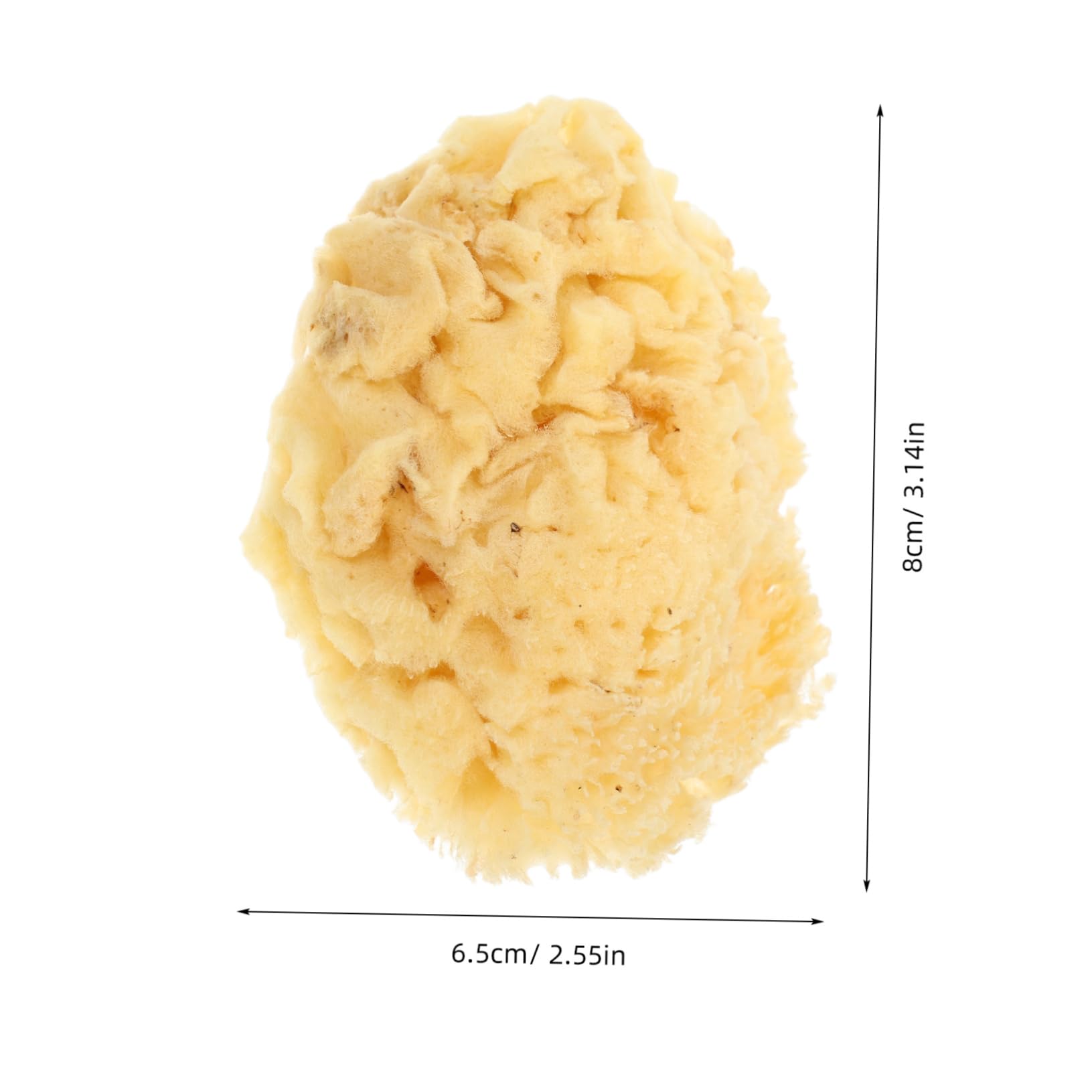 HOMSFOU Natural Sea Sponge for Soft Watercolor Painting Tool Multi Functional for Professional and DIY Texture Techniques Strong Water Absorption