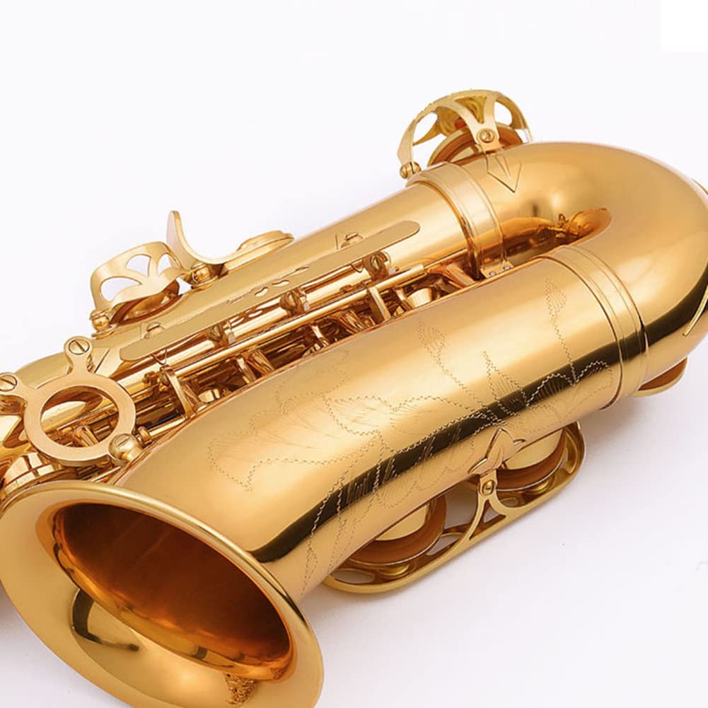 Sassofono Contralto, Ottone Laccato Oro Mi bemolle Sax per Principianti Sax Kit Completo con Custodia per Il Trasporto Guanti Panno per la Pulizia Spazzola Cinghie per Sax Ance