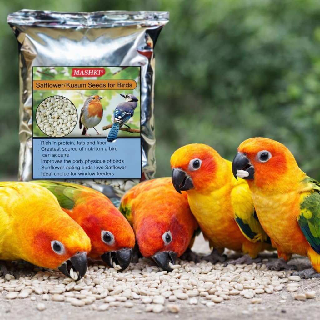 MASHKI Safflower Seeds Dry and Clean Kusum beej Seeds for Bird Food Songbirds Natural Nutrition Food (3 KG),All Life Stages 1