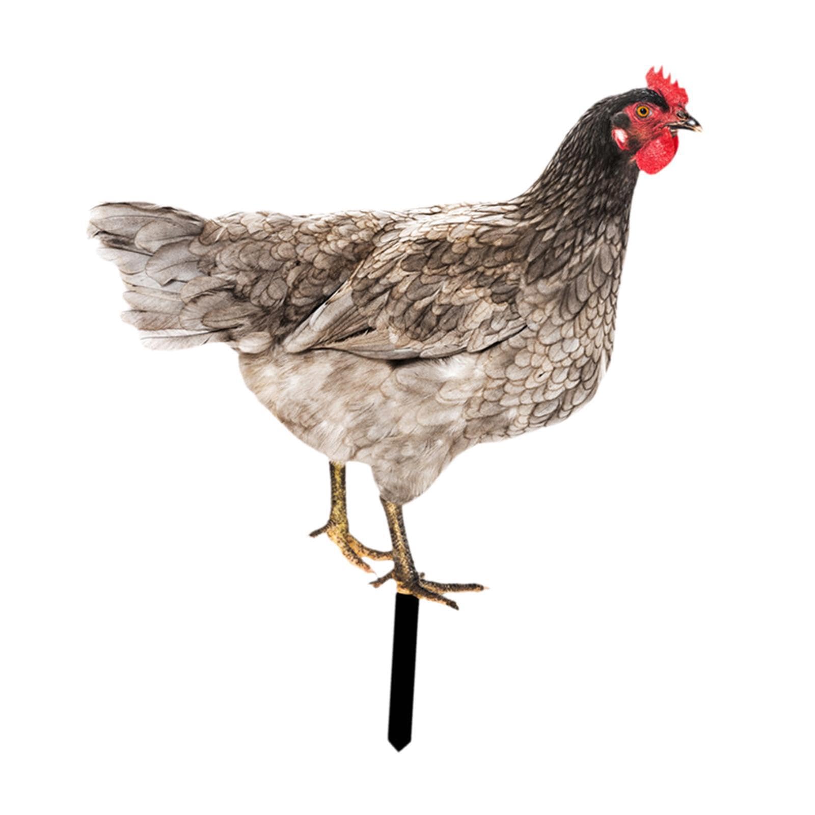 TWISAXC Acrylic Animal Stake Figurine Sign Pathway Patio Enhances Backyard Flower Bed Entryway Porch With for Creative Chicken Art Chicken Garden Statue Stake Outside Outdoor, Style B