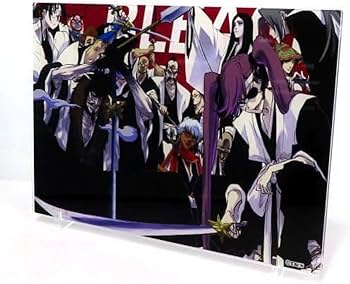 Amazon.co.jp: BLEACHブリーチ 初代護廷十三隊 箔入りアクリルアート