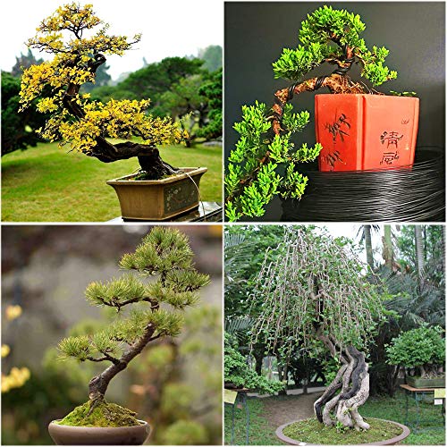 DECARETA 3 Stücke Aluminiumdraht Training Kabel für Bonsai Baum, Größen 1.0/1.5/2.0 mm (Je Stücke 10m)