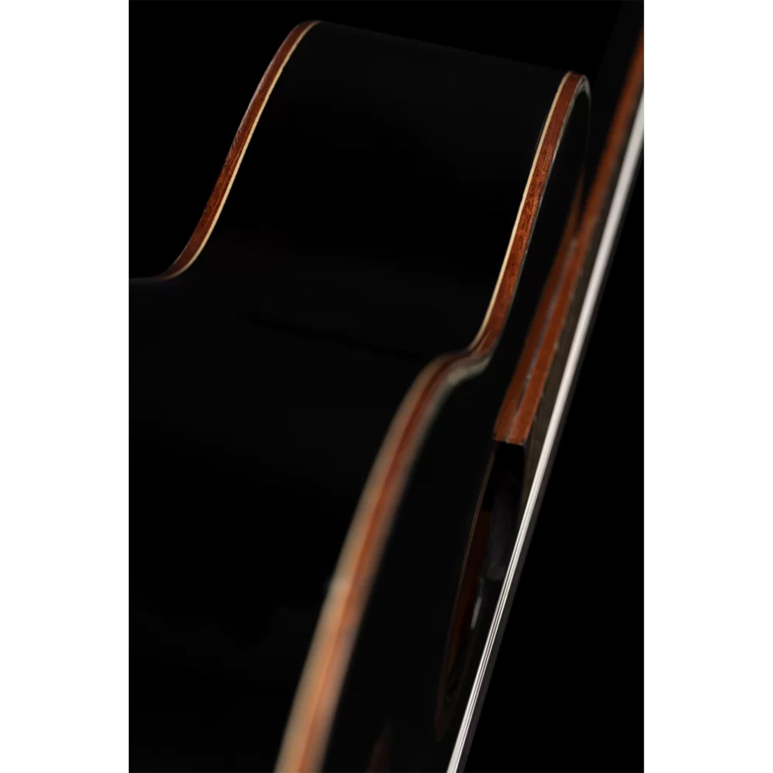 Ortega Guitars Guitarra Clásica Family Series 4/4 con Funda Slim Neck, Negro, R221SNBK