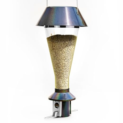 A Comprehensive Guide on How to Squirrel-Proof a Bird Feeder