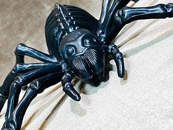 Amazon.co.jp: 大型 ゾンビ スカル スパイダー ブラック 蜘蛛