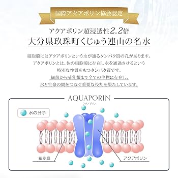 プロトン水525ml×24本 プロトン水525ml×24本 - メルカリ