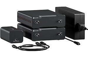 fosi DS1: Mini Monoblock Power Amplifiers for Home Audio Speakers