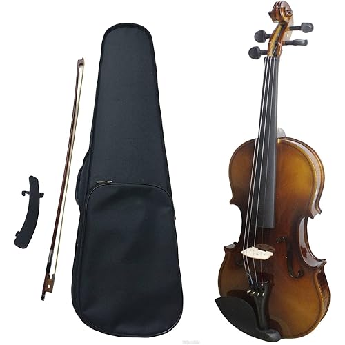 4/4 Violin Full Size Set, Fiddle Set for professional Beginners Adults (Brown, 4/4 Full)