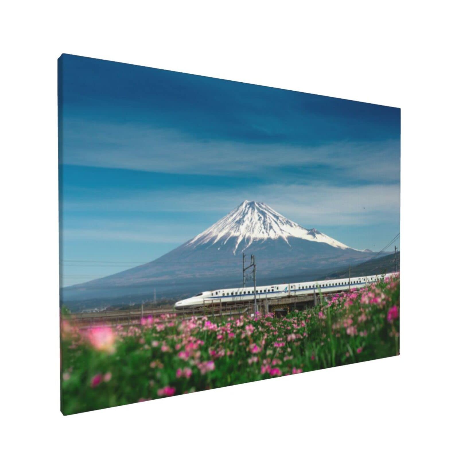 Amazon.co.jp: 富士山と通る新幹線 アニメ アートパネル アート