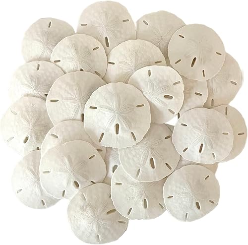 Tumbler Home Dólares de arena blanca de 2 a 2.25 pulgadas, juego de 12 dólares de arena para boda, hechos a mano y empaquetados profesionalmente