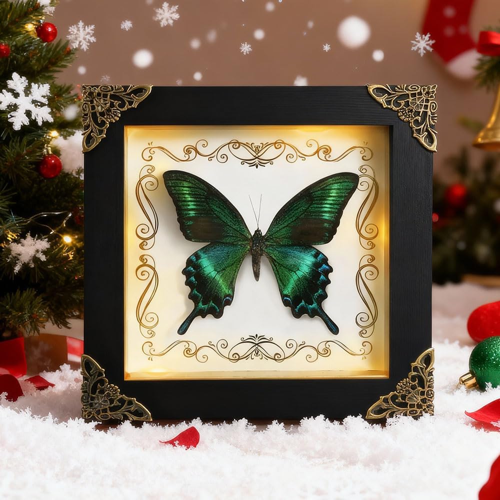 Real Framed Butterfly Taxidermy Butterfly, Handmade Shadow Box Taxidermy Specimen Display , Wooden Picture Frame with Light for Wall Art Hanging Gothic Home Decor (Green)