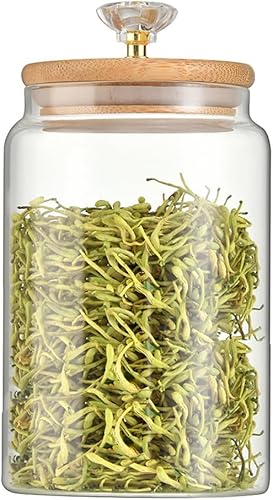 123Arts Recipiente de vidrio para almacenamiento de alimentos Tarro de especias de plato de caramelo con tapa de madera