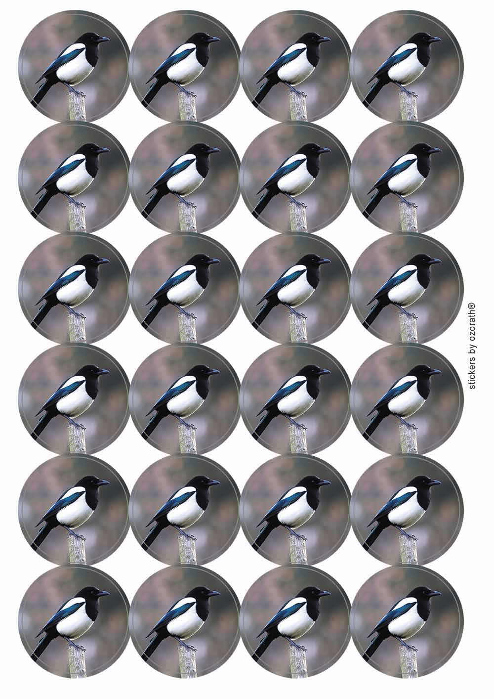 Ozorath Multicolor Magpie Circular Matt Paper Stickers A4 Sheet Of 24 (Each Sticker Is 45Mm Diameter)