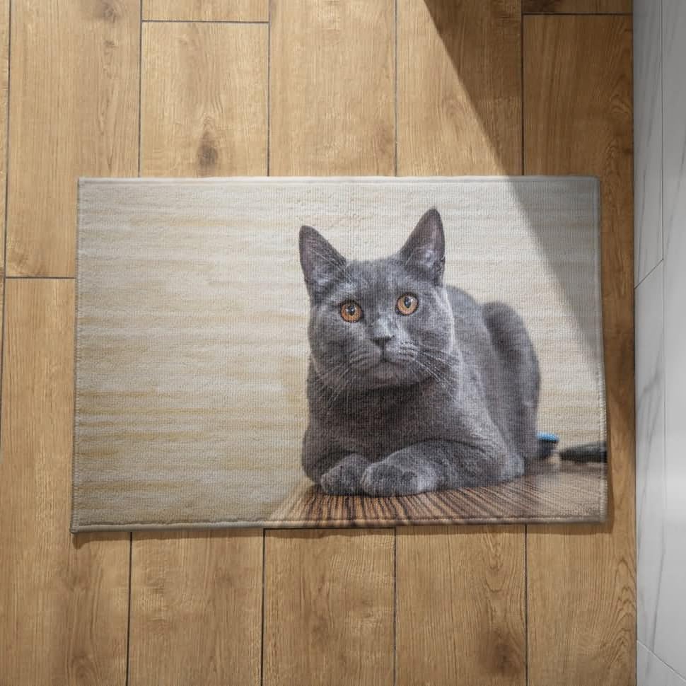 Paillasson lavable chat CEVAN un tapis de porte fin pour votre entrée