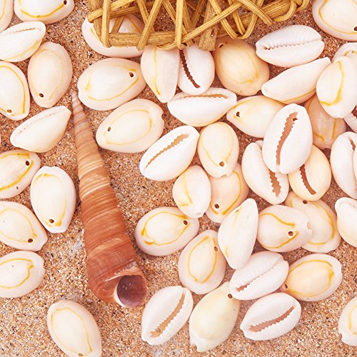 Ph Pandahall 70-100Pcs Natural Sea Shells, 14-20Mm Ocean Beach Spiral Seashells Craft Shell Charms Beach Seashells For Summer Beach Bracelet Necklace Jewelry Diy Craft Making Home Decor Vase Filler #TOP2