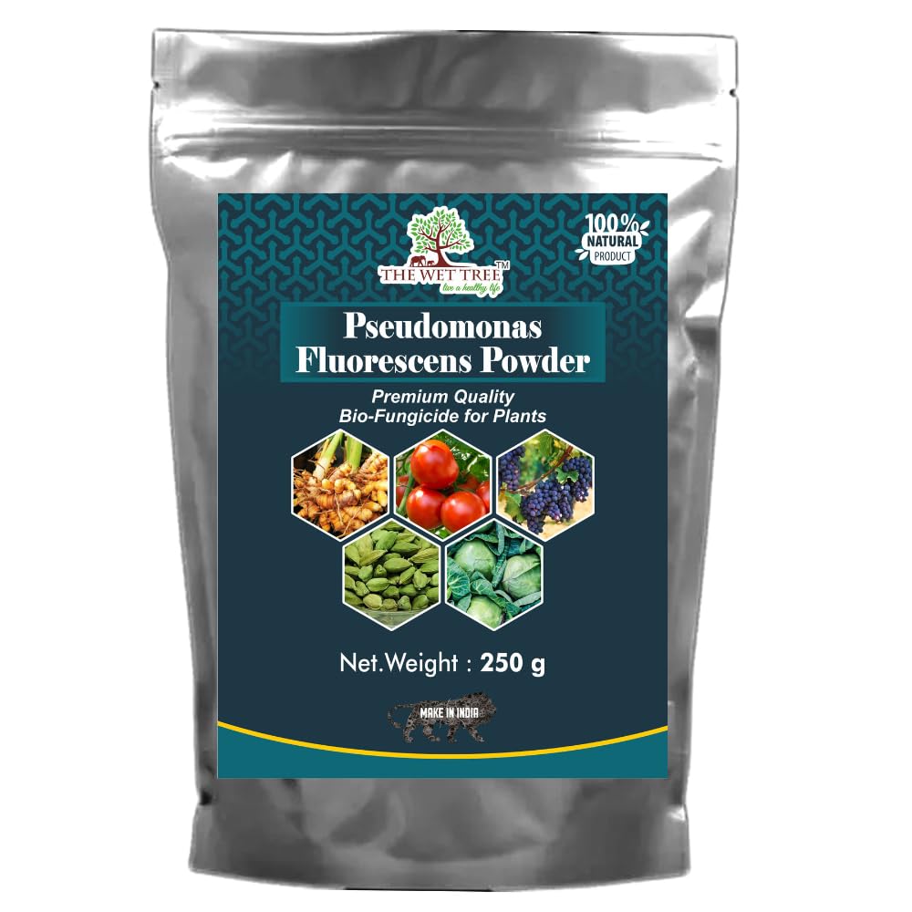 Pseudomonas Fluorescens Powder | Bio Fungicide for Seeds & Home Garden Plants | Against Root Rot, Stem Rot, Wilt & Fungal Dieases (250gm)