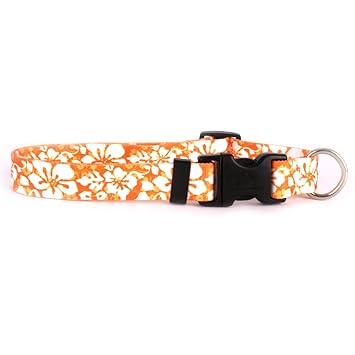 Yellow Dog Design Island Floral Orange Dog Collar Fits Neck 14 to 20