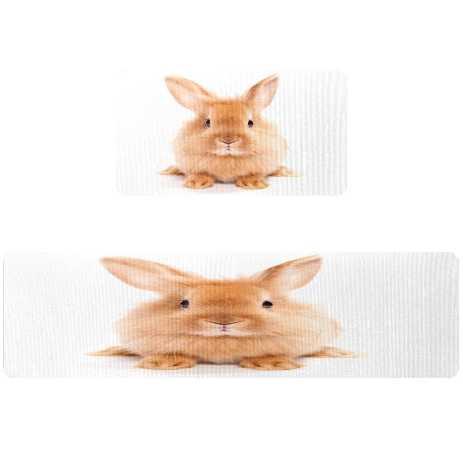 Tapete de cocina absorbente y antideslizante de dos piezas con diseño lavable
