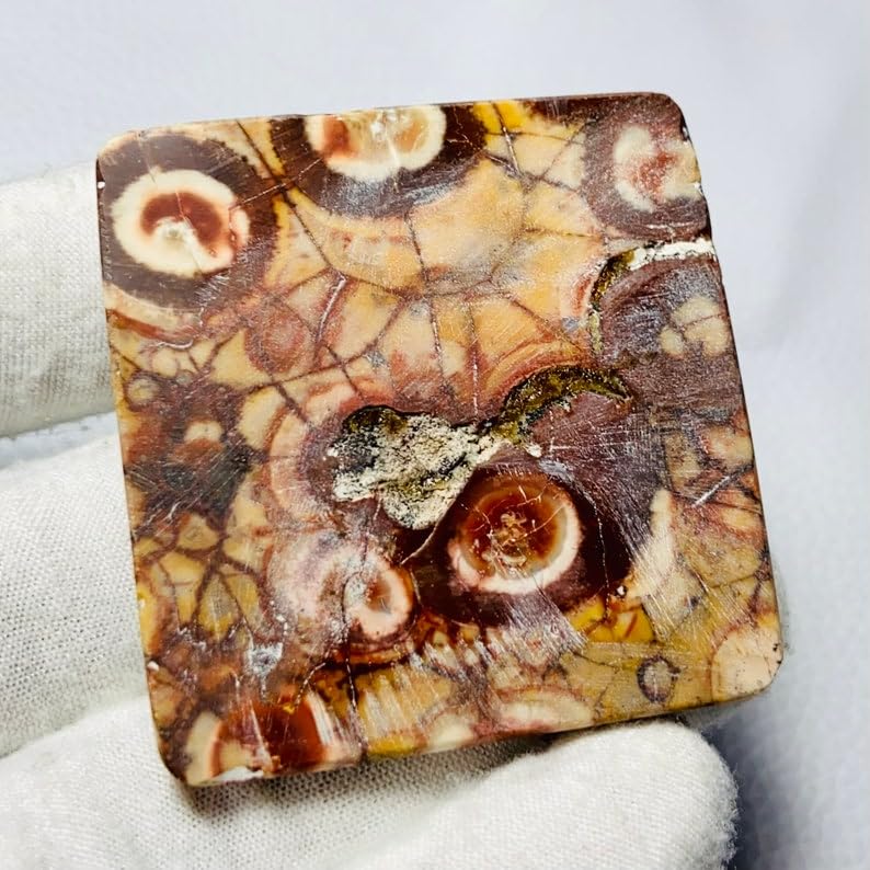 Jaspe œil d'oiseau cabochon de qualité supérieure pour joaillerie fine