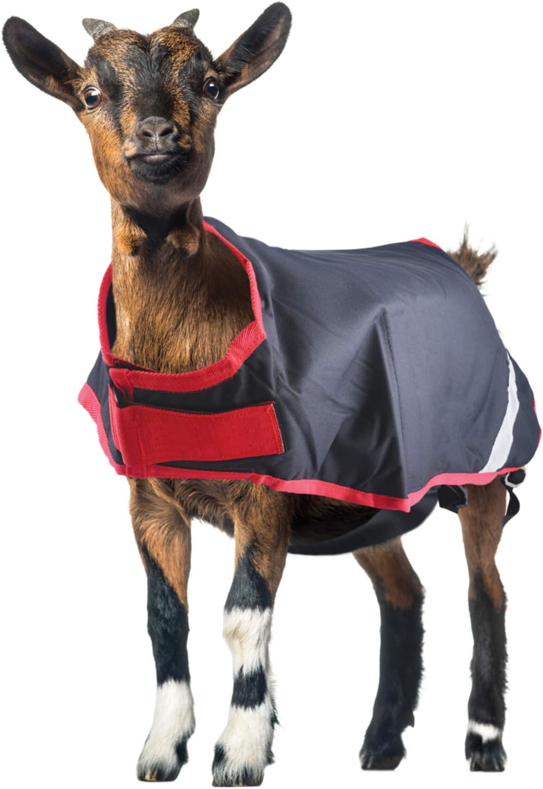 Horseware HW Goat Rug 100g