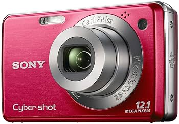 Amazon Canada: Sony Cyber-Shot DSC-W230 12.1 MP Digital