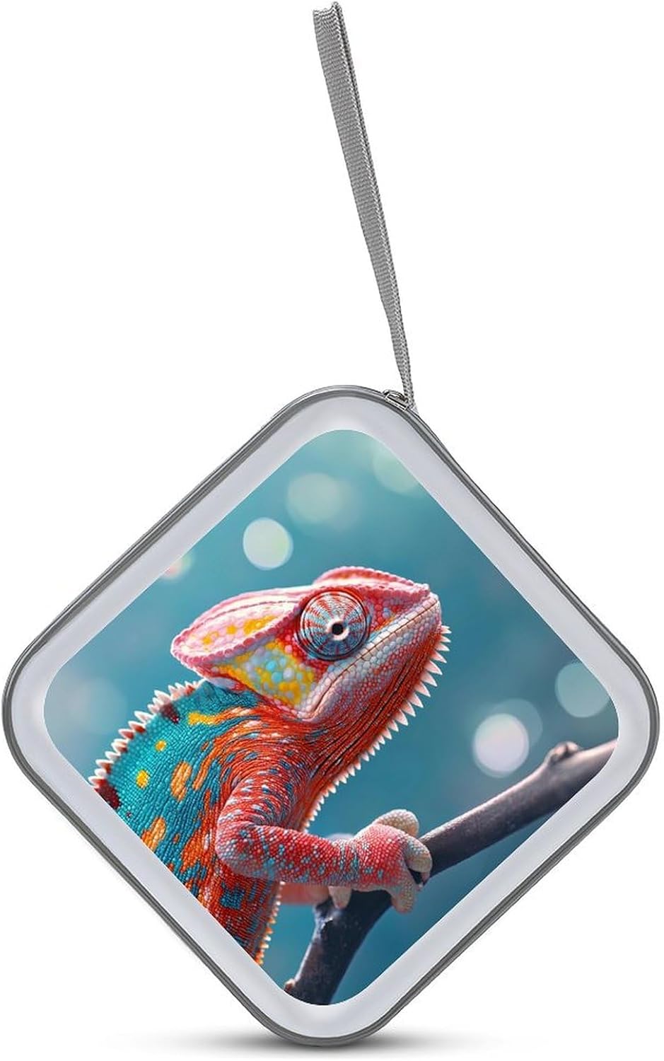 Colorful Chameleon CD Case Portable DVD Storage Box CD Wallet Holder Binder Organizer for Car Home