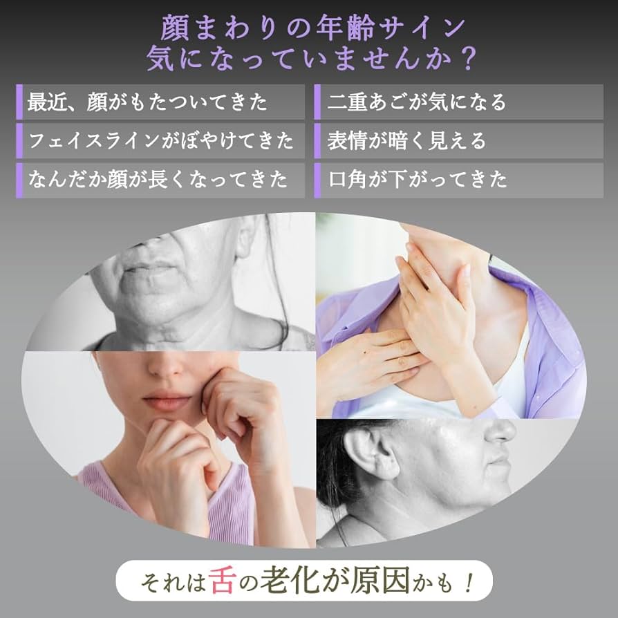 スタイリーフェイス　StylyFale　EMS スタイリーフェイス ディノスANAmall店