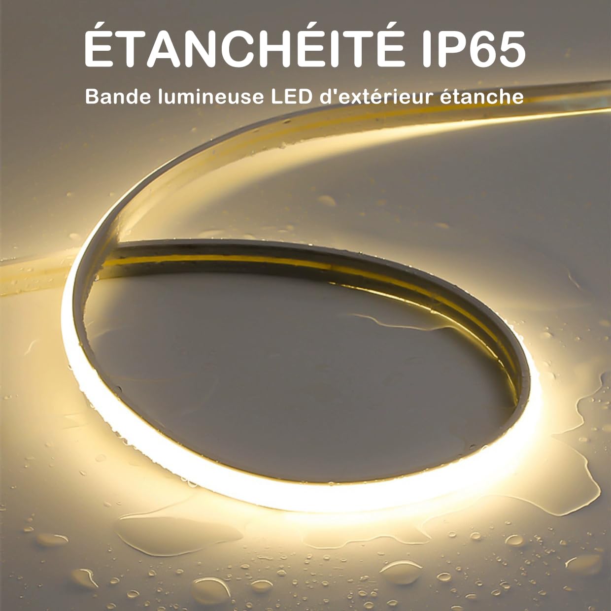Ruban LED COB 220V IP65 avec Gradateur, Bande Flexible(3000K, 8M)