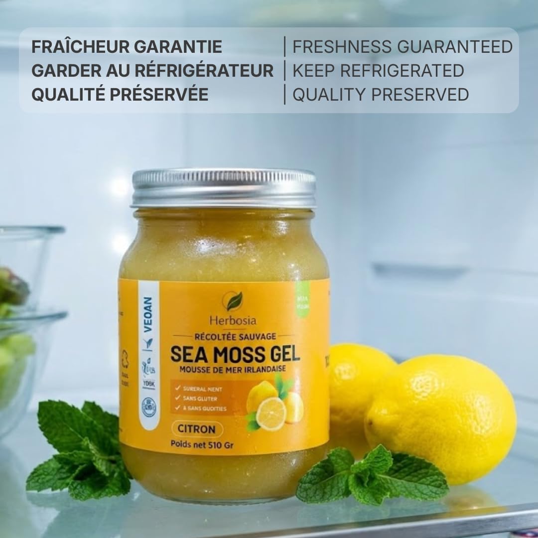 Sea Moss Irisches Gel, 100 % natürlich, wildes Meermoos, vegan, cremige Textur, 510 g (Zitrone)
