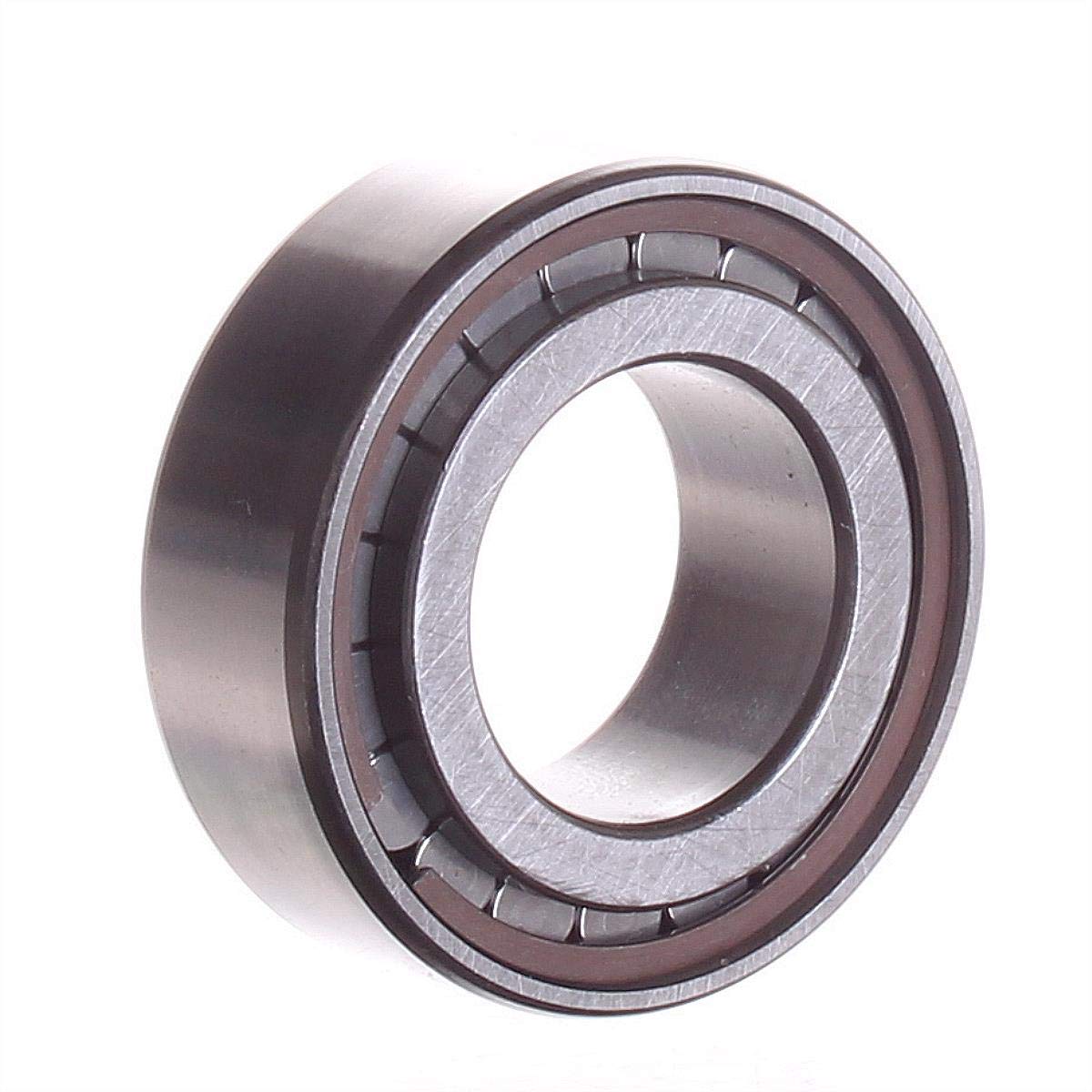 SL183005-A-XL INA Cuscinetto a rulli cilindrici 25x47x16mm