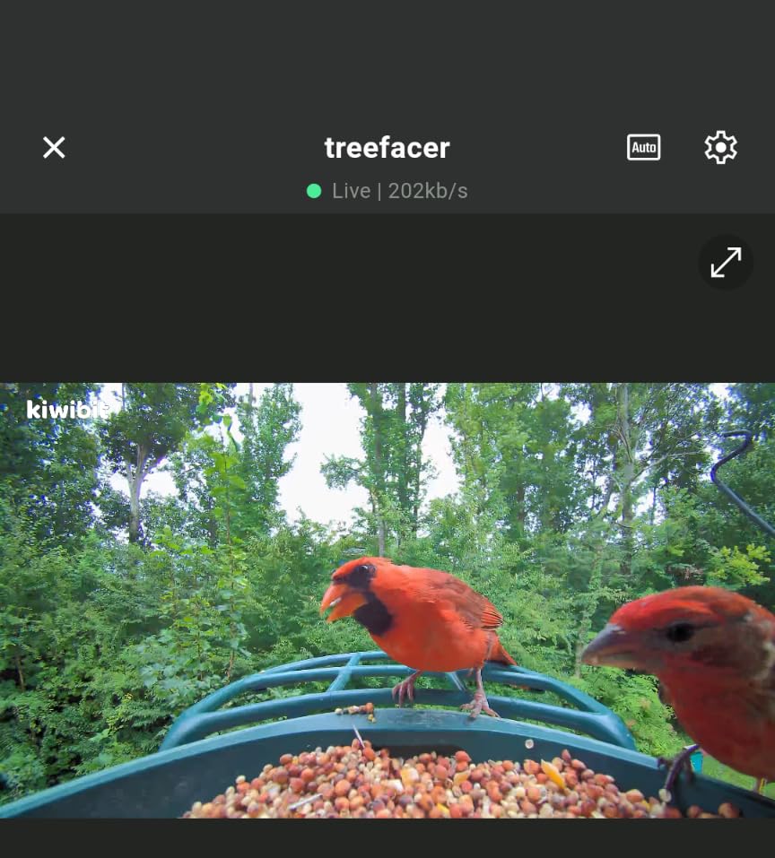 Smart Bird Feeder with 4K AI Camera Solar Powered, 8MP Photos photo review